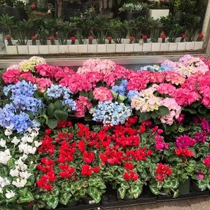 Meet your Posher, Myrna